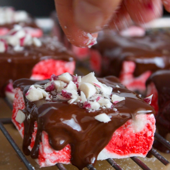 Chocolate-Covered Peppermintmallows